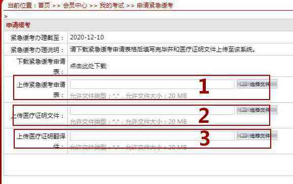 紧急缓考在线提交